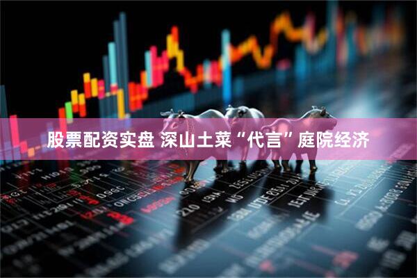 股票配资实盘 深山土菜“代言”庭院经济