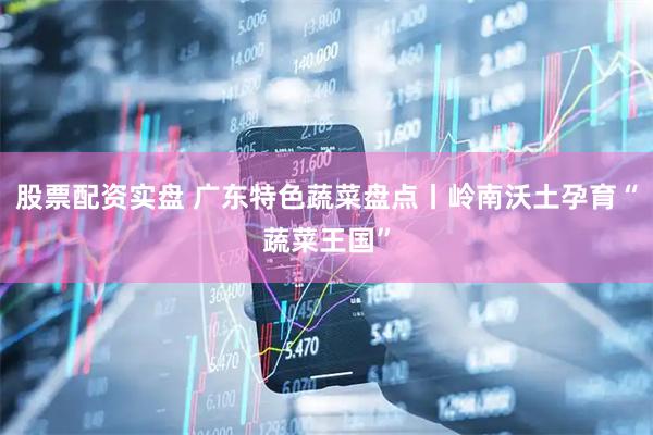股票配资实盘 广东特色蔬菜盘点丨岭南沃土孕育“蔬菜王国”